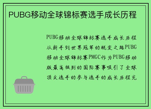 PUBG移动全球锦标赛选手成长历程