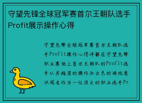 守望先锋全球冠军赛首尔王朝队选手Profit展示操作心得